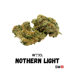 Nothern Light CBD